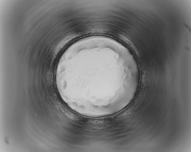 X0000099941027200806131420