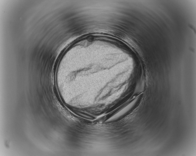 X0000099941028200806131420