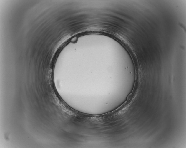 X0000099941029200806131420