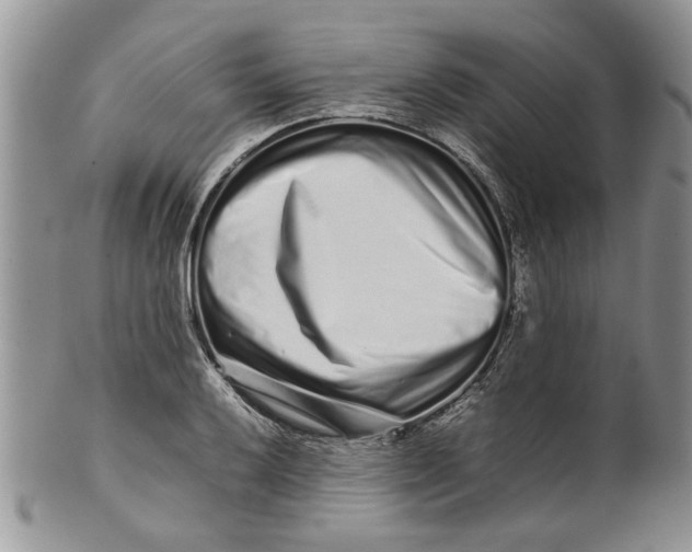 X0000099941032200806131420