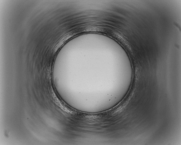 X0000099941033200806131420