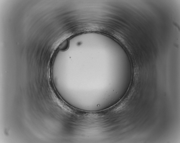 X0000099941034200806131420