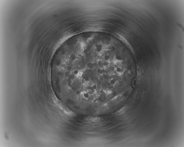 X0000099941035200806131420