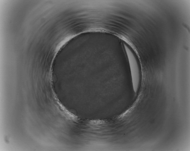 X0000099941037200806131420