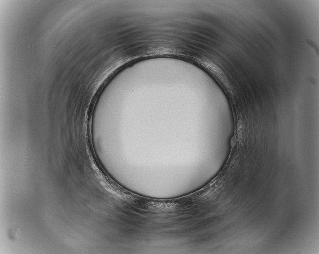 X0000099941039200806131420