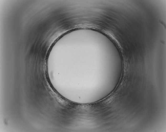 X0000099941040200806131420