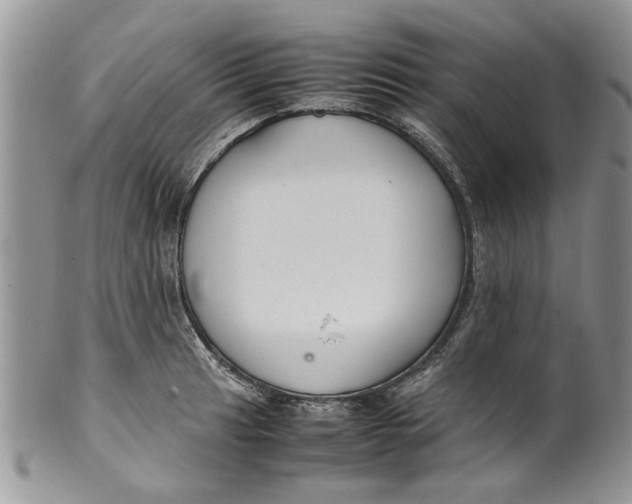 X0000099941041200806131420