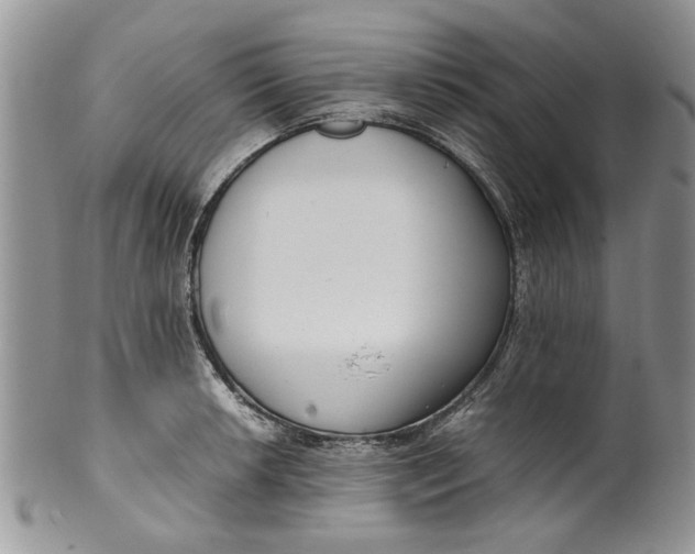 X0000099941042200806131420