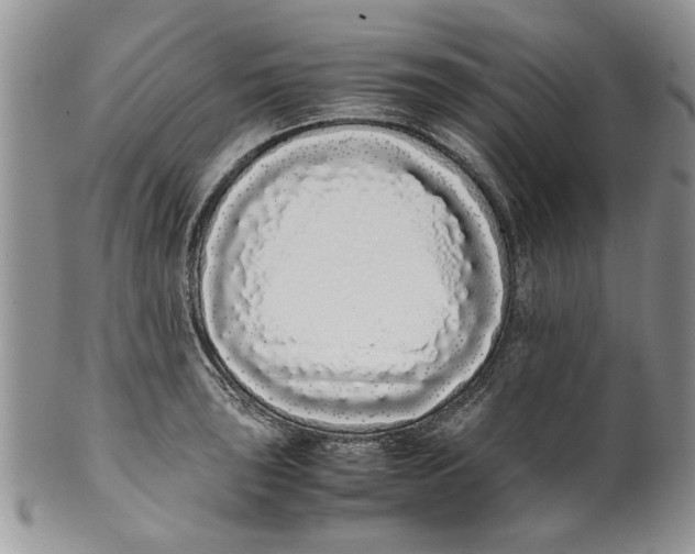 X0000099941043200806131420