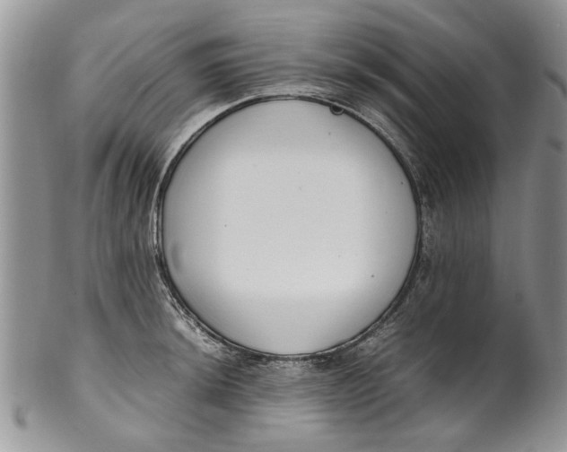 X0000099941044200806131420