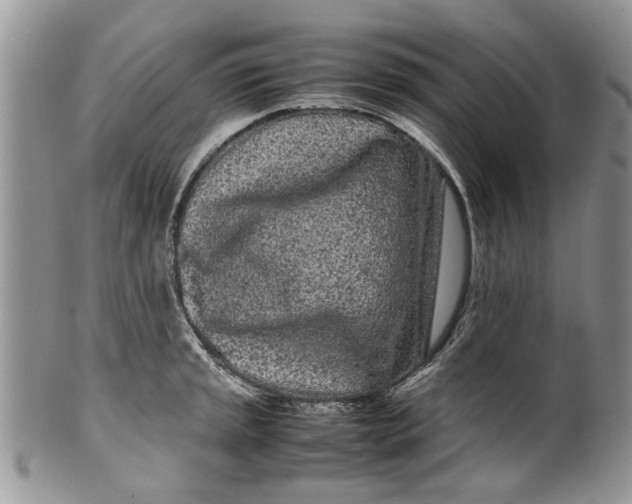 X0000099941045200806131420