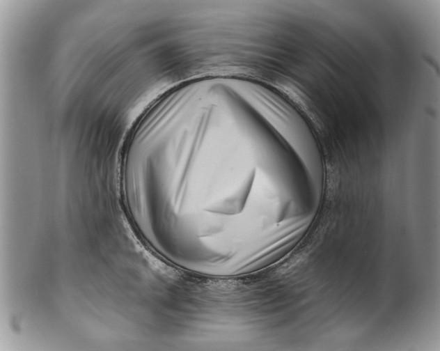 X0000099941046200806131420