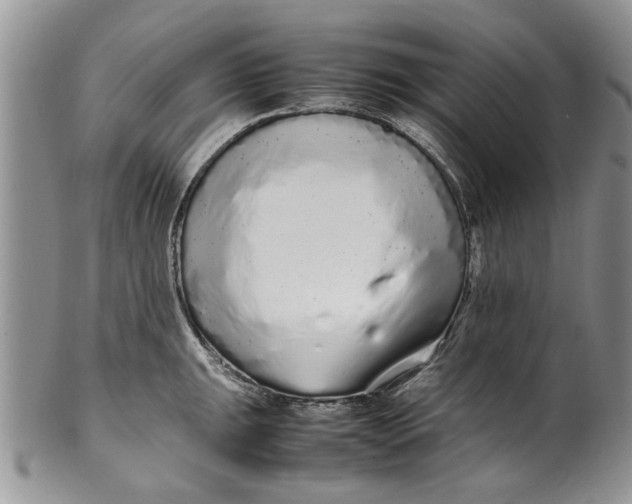 X0000099941047200806131420