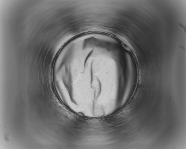 X0000099941048200806131420