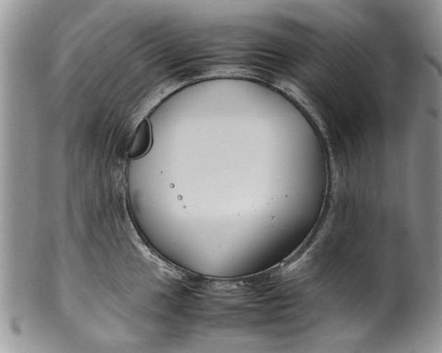 X0000099941049200806131420