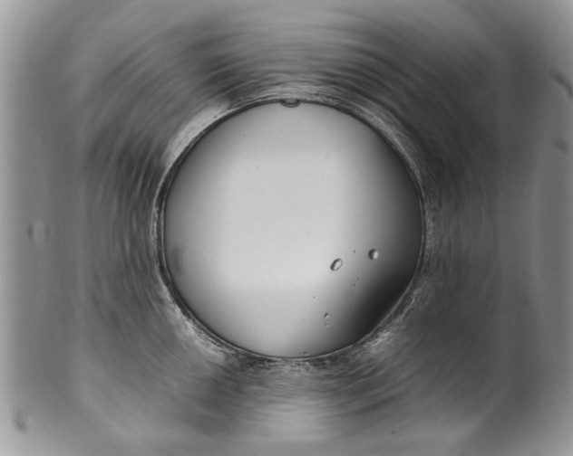 X0000099941050200806131421