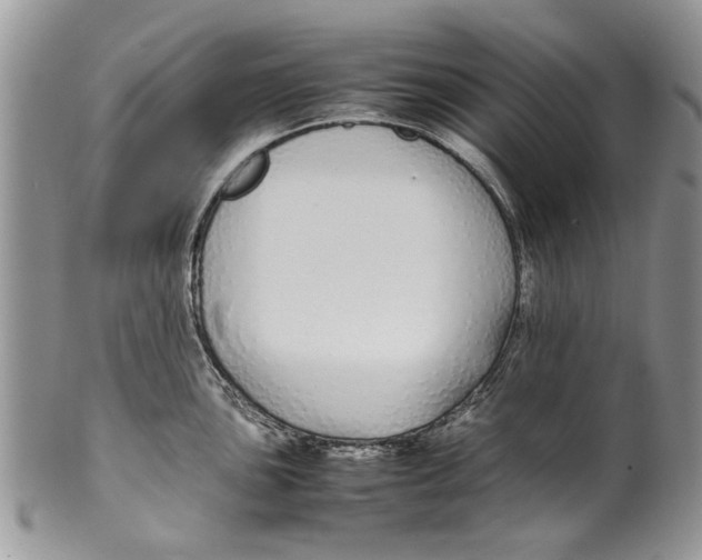 X0000099941051200806131421