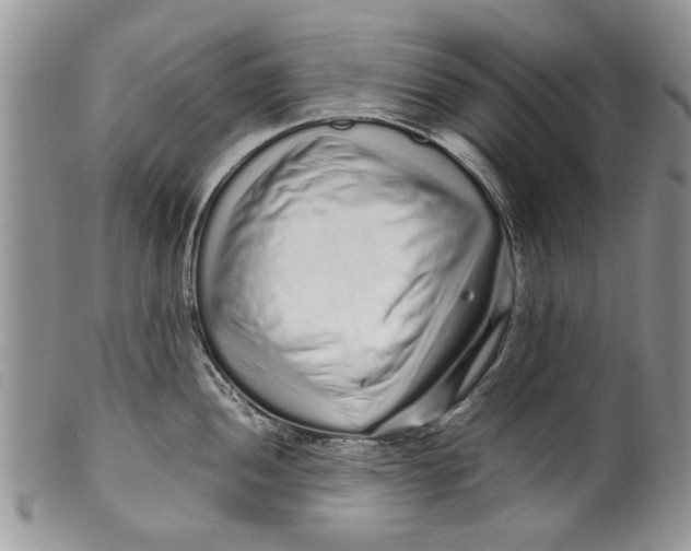 X0000099941052200806131421