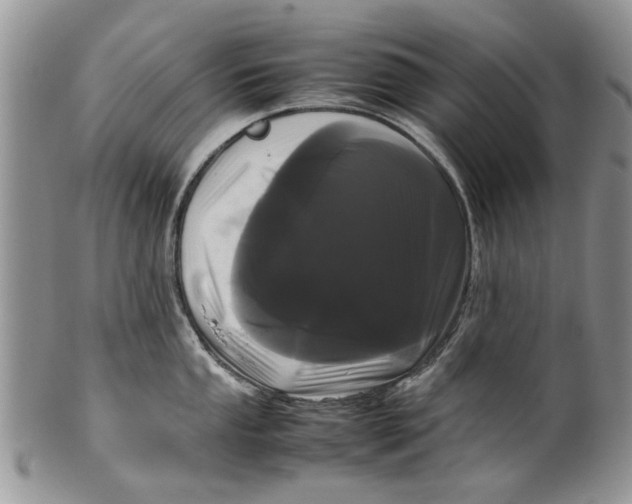 X0000099941053200806131421