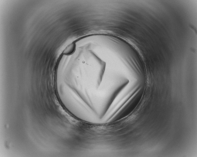 X0000099941054200806131421