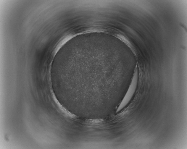 X0000099941055200806131421