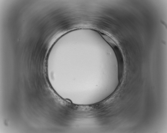 X0000099941056200806131421