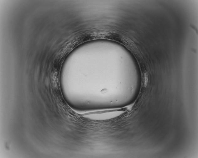 X0000099941059200806131420