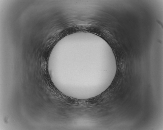 X0000099941061200806131420