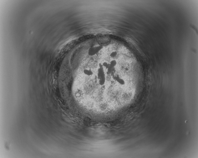 X0000099941063200806131420