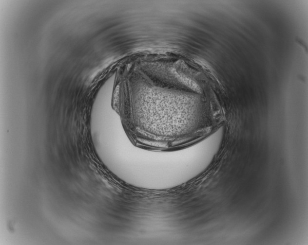 X0000099941064200806131420