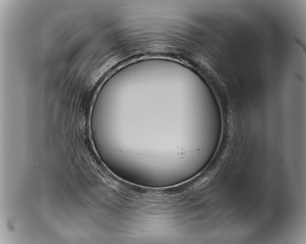 X0000099941065200806131420