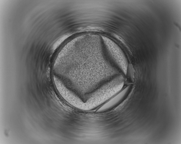 X0000099941066200806131420