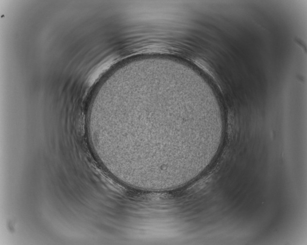 X0000099941067200806131420