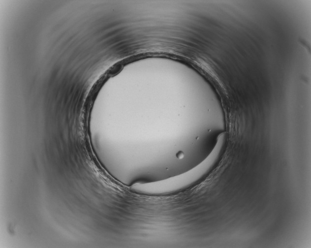 X0000099941068200806131420