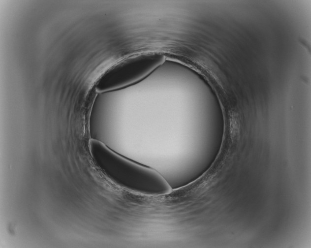 X0000099941069200806131420