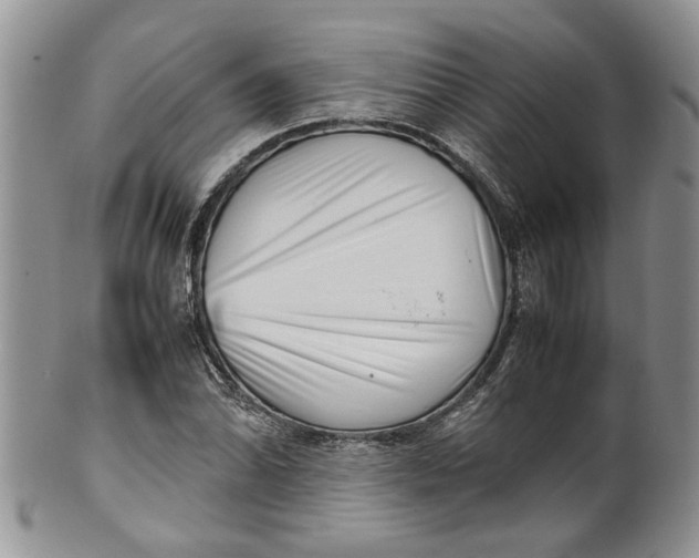 X0000099941070200806131420