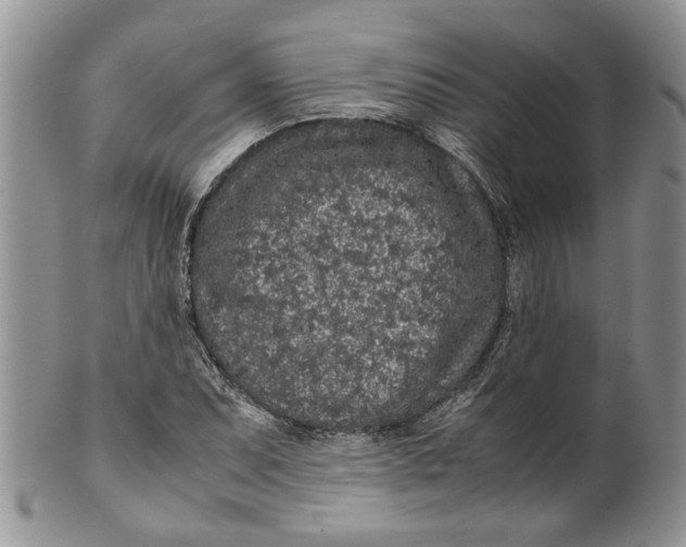 X0000099941071200806131420