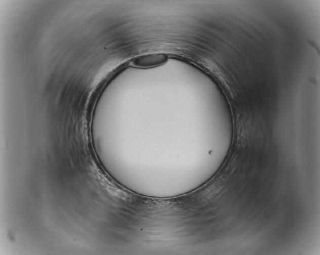 X0000099941072200806131420