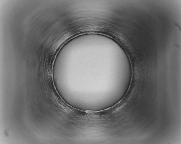 X0000099941073200806131420