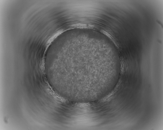 X0000099941074200806131420