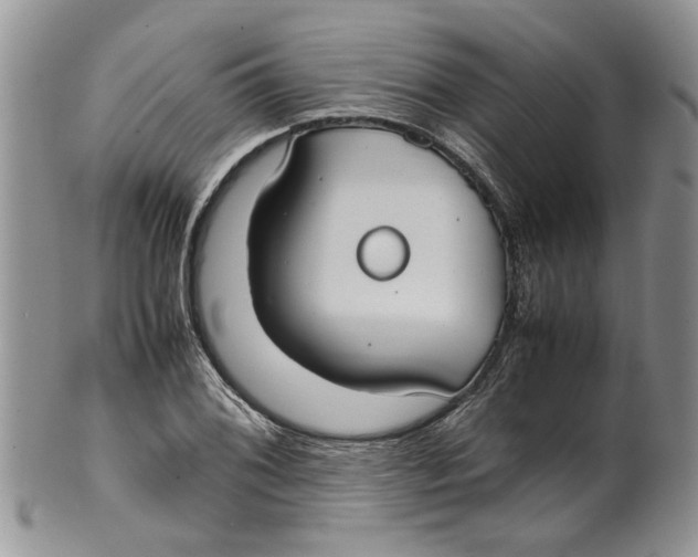 X0000099941076200806131420