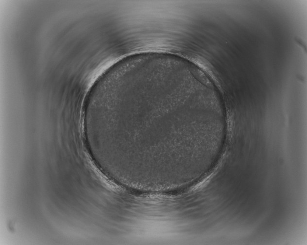 X0000099941077200806131420