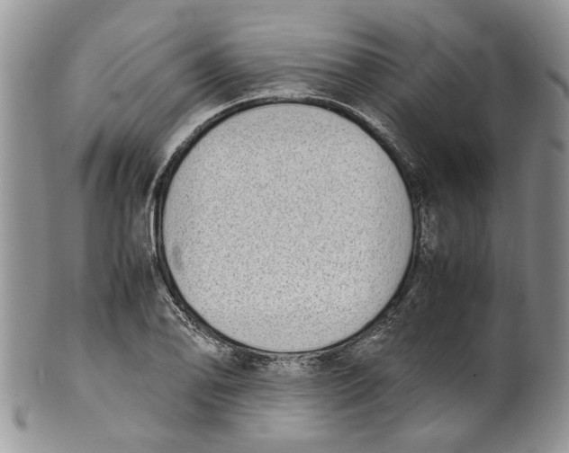 X0000099941078200806131420