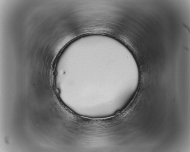 X0000099941079200806131420