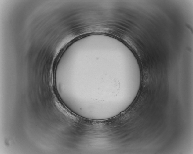 X0000099941080200806131420