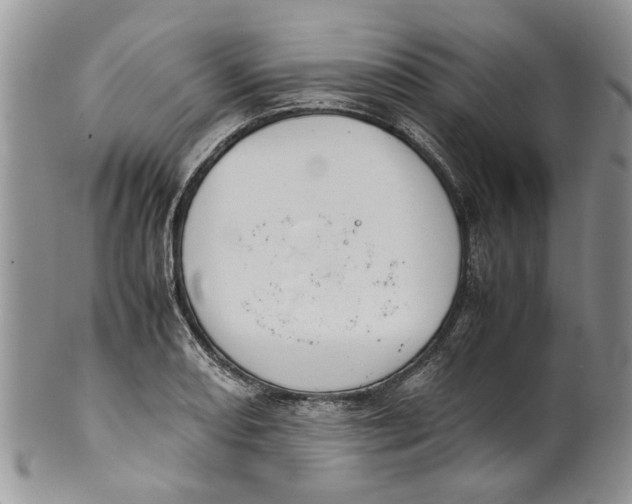 X0000099941082200806131420