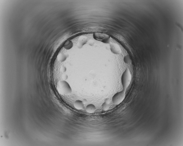 X0000099941083200806131420