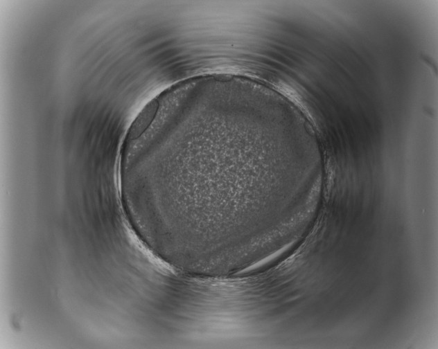 X0000099941084200806131420