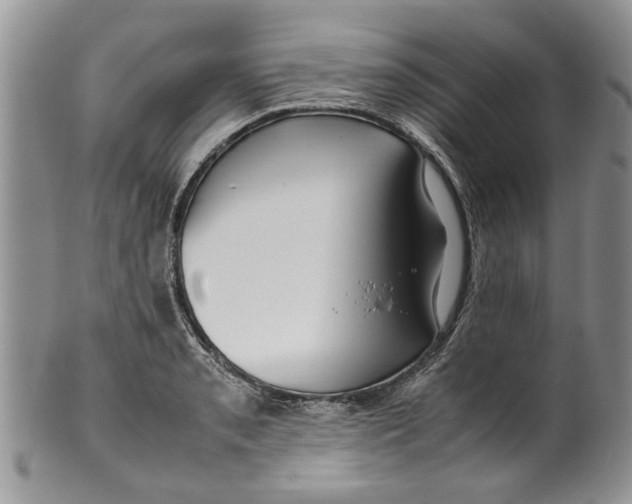 X0000099941085200806131420