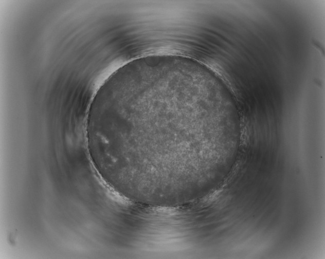 X0000099941086200806131420